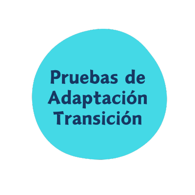 ADAPTACIÓN 2